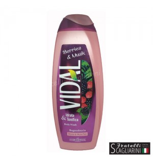 VIDAL ΑΦΡΟΛΟΥΤΡΟ BERRIES AND MUSK 500ml. VIDAL ΑΦΡΟΛΟΥΤΡΟ BERRIES AND MUSK 500ml.