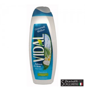 VIDAL ΑΦΡΟΛΟΥΤΡΟ COCONUT WATER 500ml.