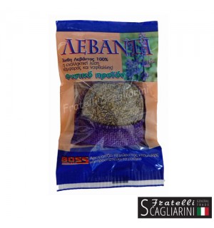 ΛΕΒΑΝΤΑ ΦΥΣΙΚΗ ΠΟΥΓΓΙ