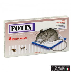 ΠΟΝΤΙΚΟΠΑΓΙΔΑ ΜΕΓΑΛΗ 2τεμ