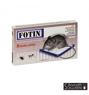 ΠΟΝΤΙΚΟΠΑΓΙΔΑ ΜΕΣΑΙΑ 2τεμ