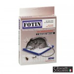 ΠΟΝΤΙΚΟΠΑΓΙΔΑ ΜΙΚΡΗ 2τεμ