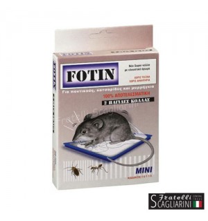 ΠΟΝΤΙΚΟΠΑΓΙΔΑ ΜΙΚΡΗ 2τεμ